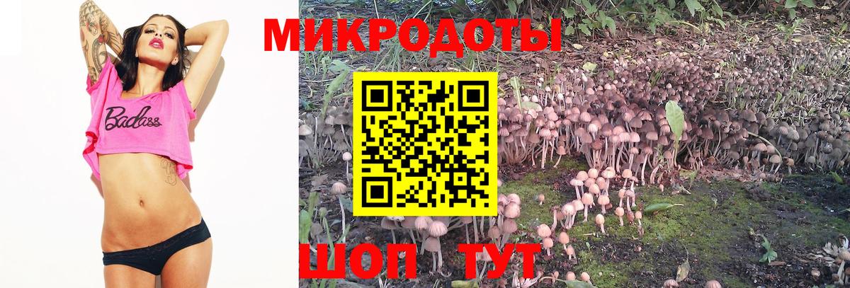 Галлюциногенные грибы ЛСД Липецк